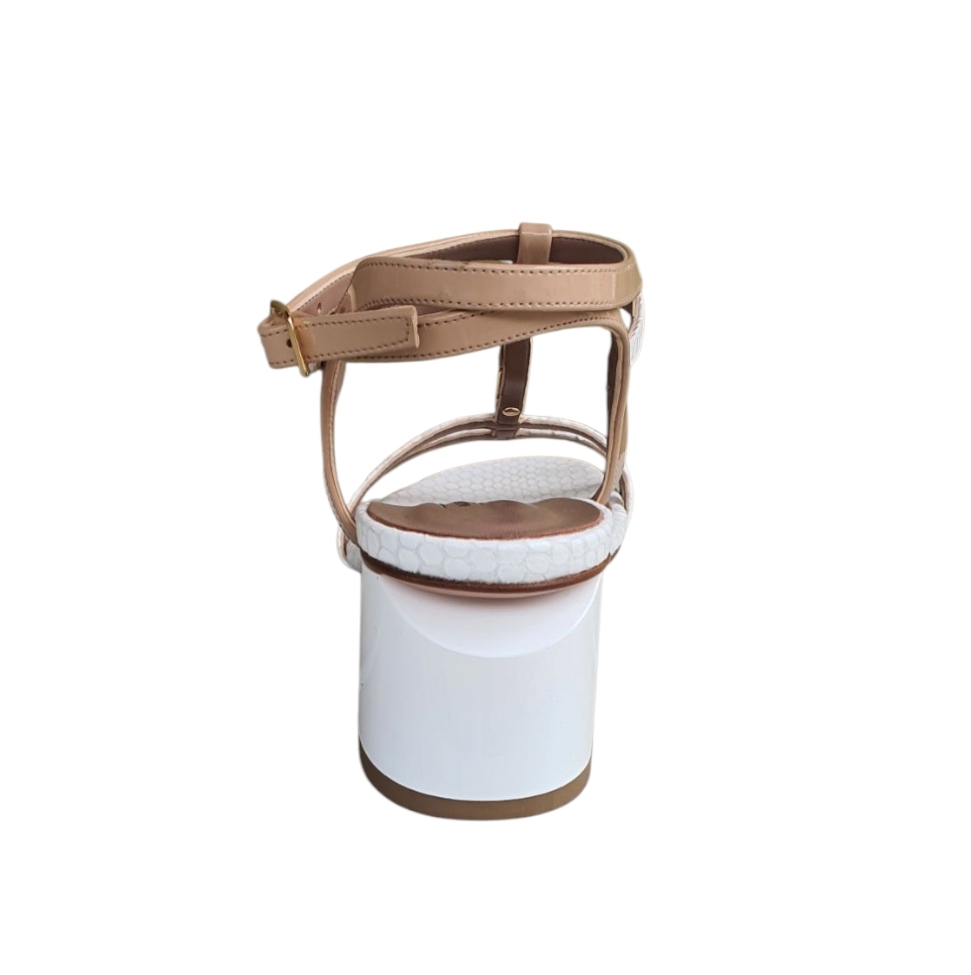 1798 Lucertola bianco